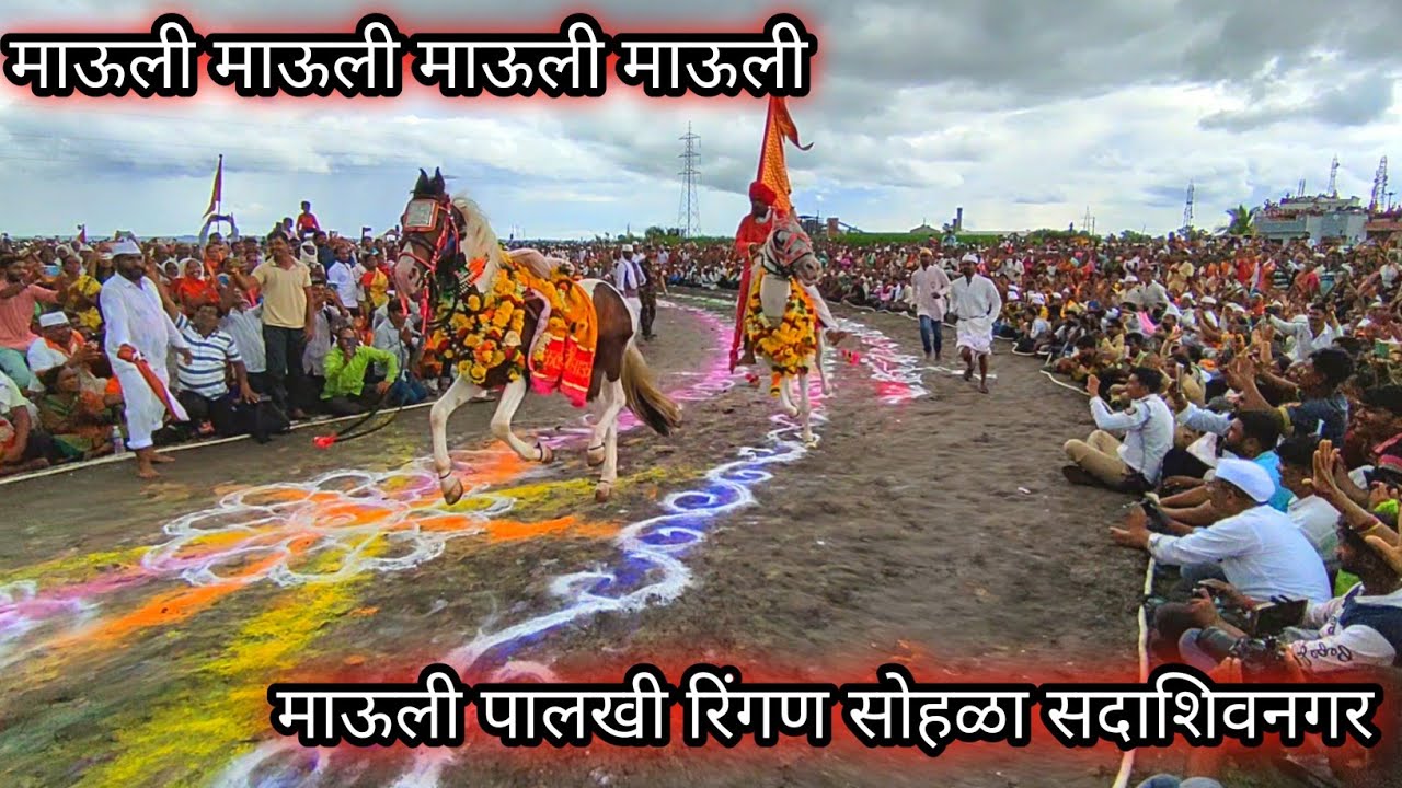 Dnyaneshwar mauli paalkhi ringan / ज्ञानेश्वर माऊली पालखी रिंगण सोहळा सदाशिवनगर