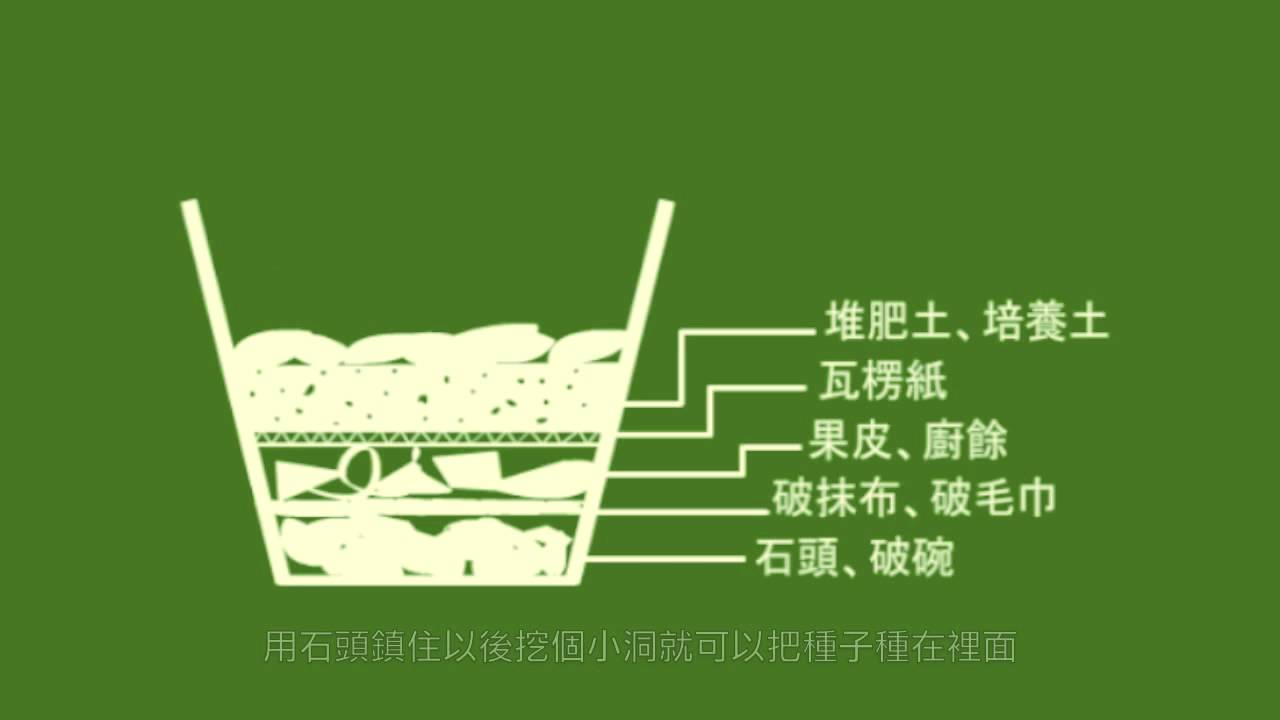 厚土種植法 在都市種植有機菜