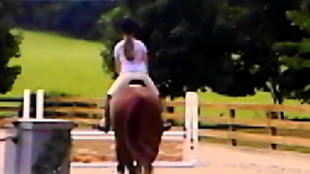 2014-08-02 Lesson Wally 9