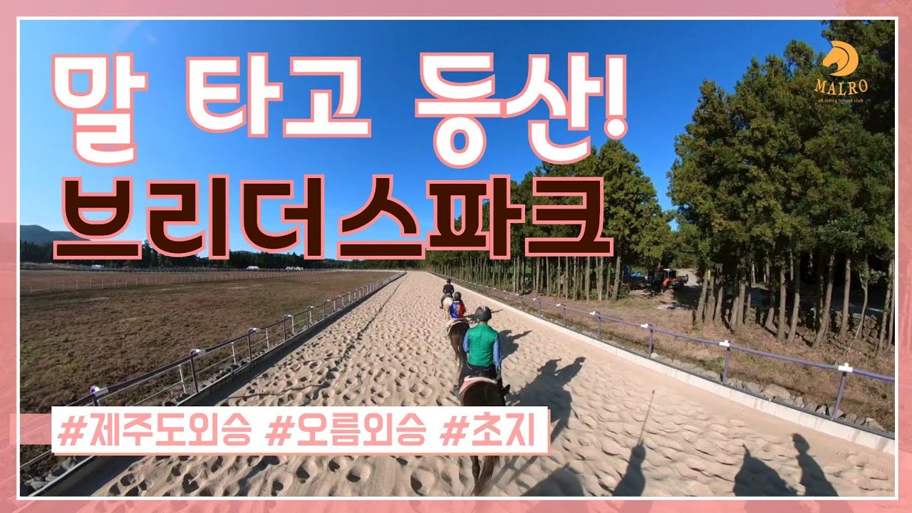 브리더스파크 | 말 타고 오름 올라가기 | 가을외승