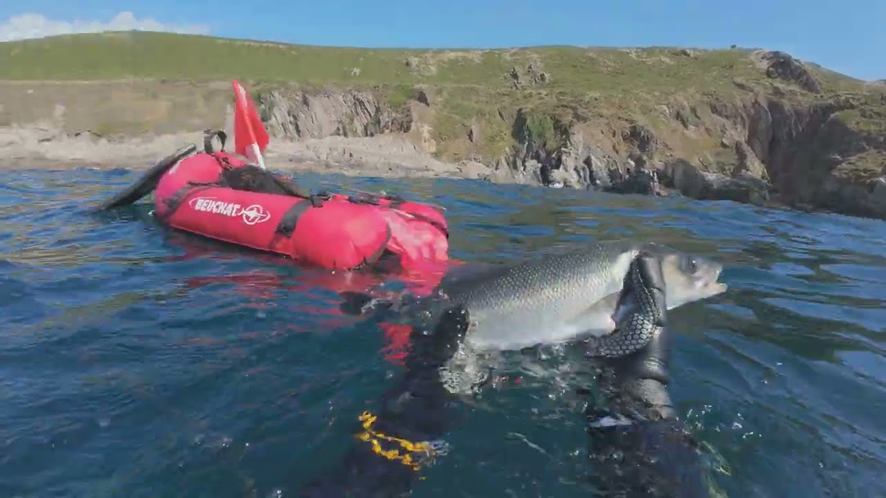 Spearfishing South Devon 29.08.24