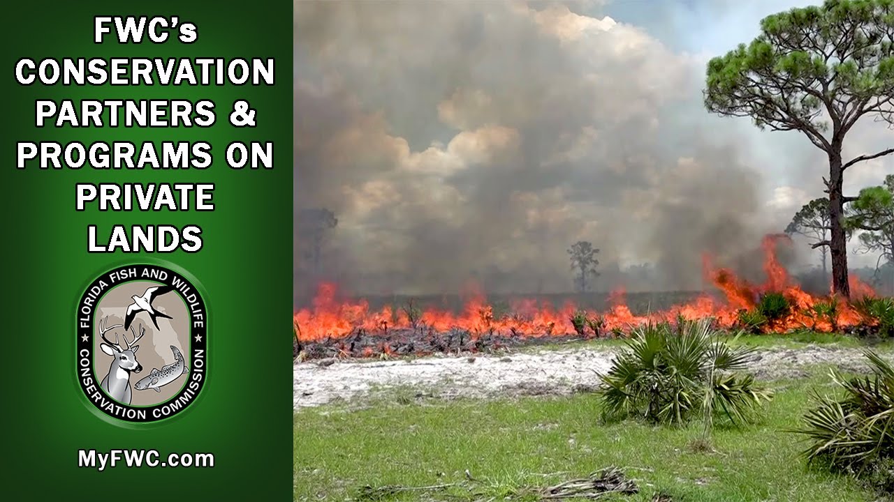 Landowner Assistance &ndash; Partners and Programs