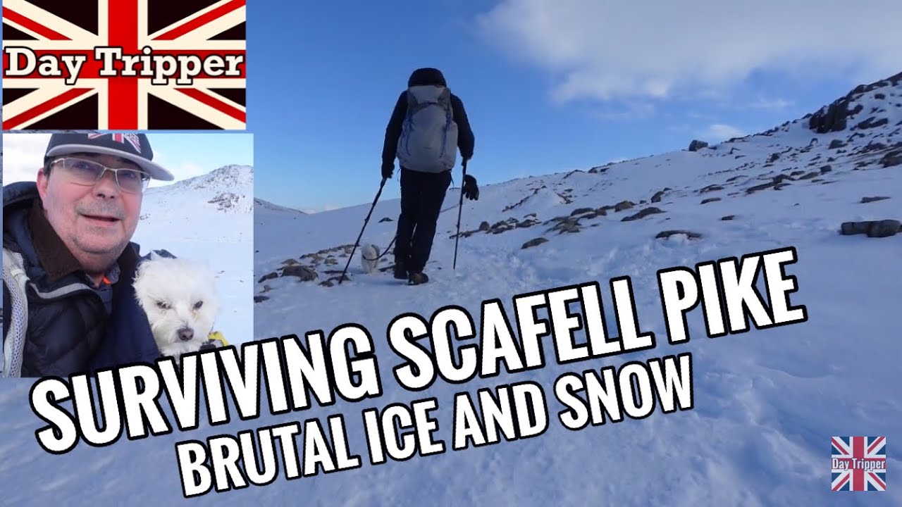 Scafell Pike Attempt In Brutal Ice And Snow with Maltese Dog