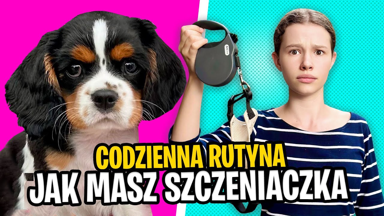 Codzienna RUTYNA jak masz Szczeniaczka