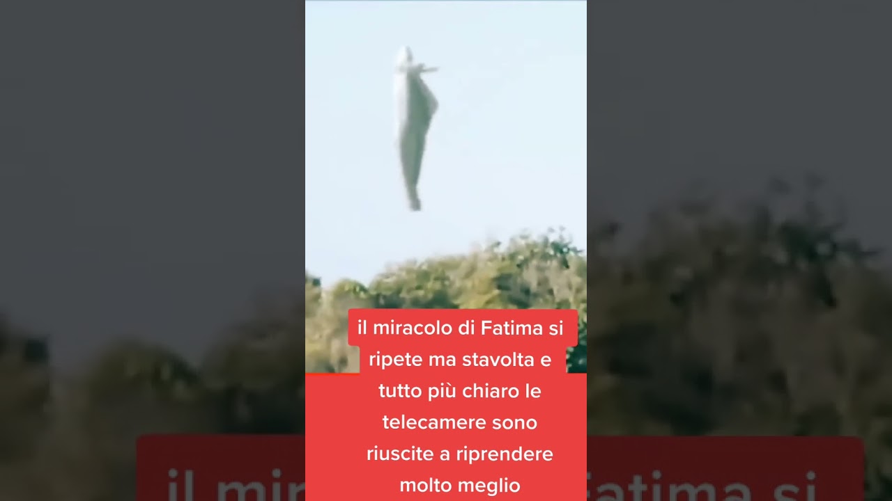 miracolo#fatima#angeli#miracolo #jesus #madonna #gesu #preghiera #apparizioni #rosario #papa#chiesa