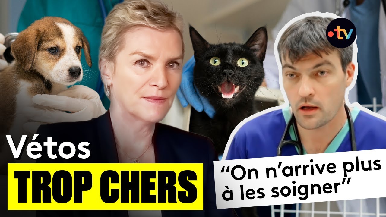 Nestlé et Mars soignent vos animaux ? I Envoyé Spécial