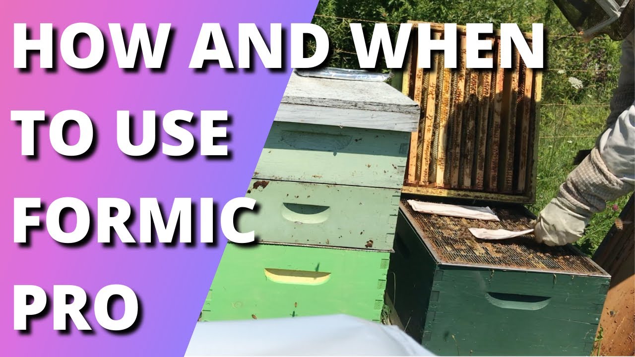 Как и когда использовать Formic Pro