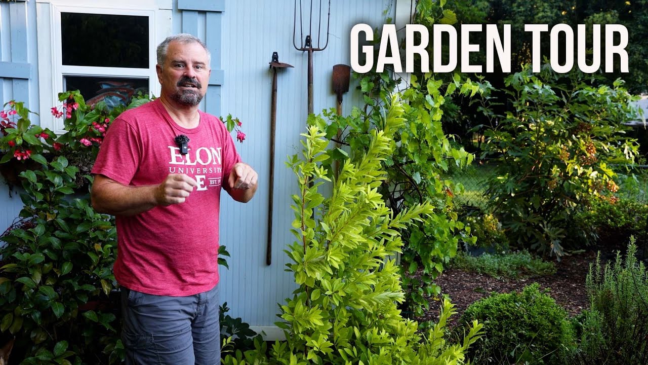Some Fun Things in the Garden
