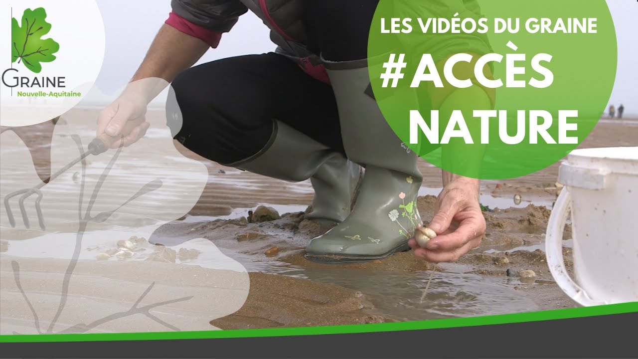 Accès Nature - La pêche à pied avec le CPIE Marennes-Oléron