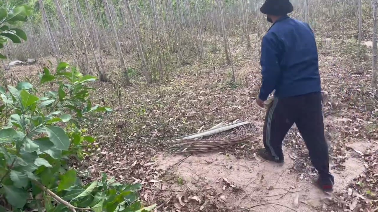 Một ngày đi săn