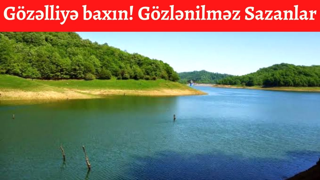 Lenkeran  BaLlq ovu (рыбу ,Fish,بلق او,сазана ) Görün Bu Gözəl Təbiyyətə Nəcür SAZAN var
