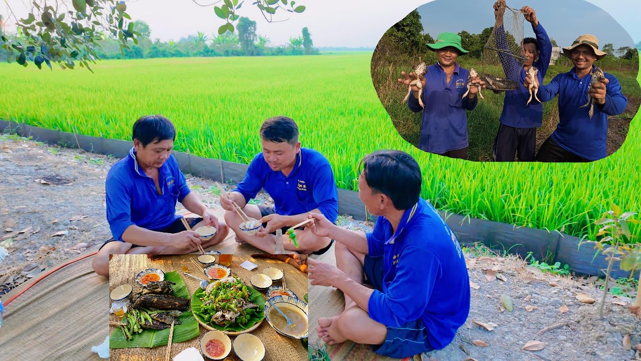 Chiều thăm lờ Bội Thu  , ngồi Lai Rai  ngoài ruộng lúa  | Út Phiêu Lưu