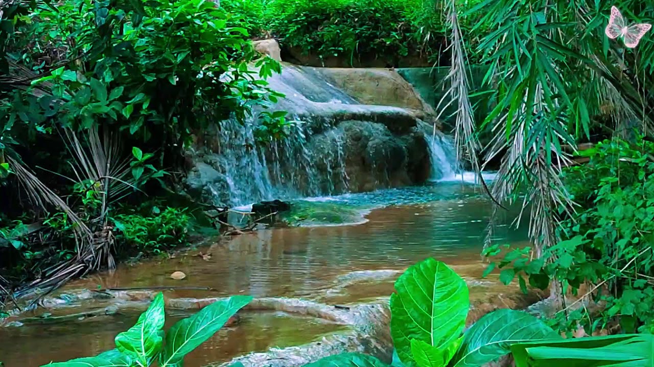 Relaxing Music For Stress Relief, Anxiety and Depressive States🌲 Heal Mind, Body and Soul Relax 25