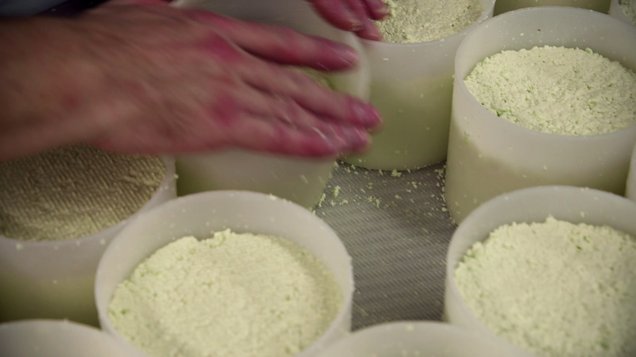 Mexican cheese, locally churned | Gringa Diary