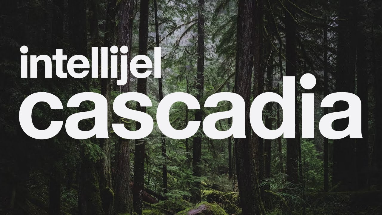 Intellijel Cascadia — Первые исследования