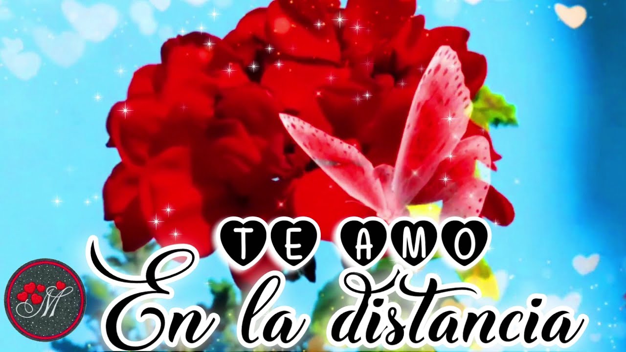 AMOR A DISTANCIA 💕 Te pienso Te quiero Te extraño 💕 TE AMO Mensajes de amor para enamorar