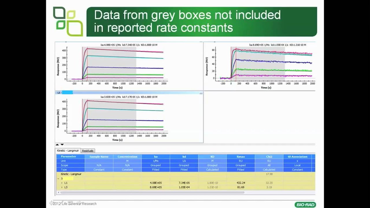 Best Practices in Data Processing and Analysis to Achieve High-Quality SPR Results