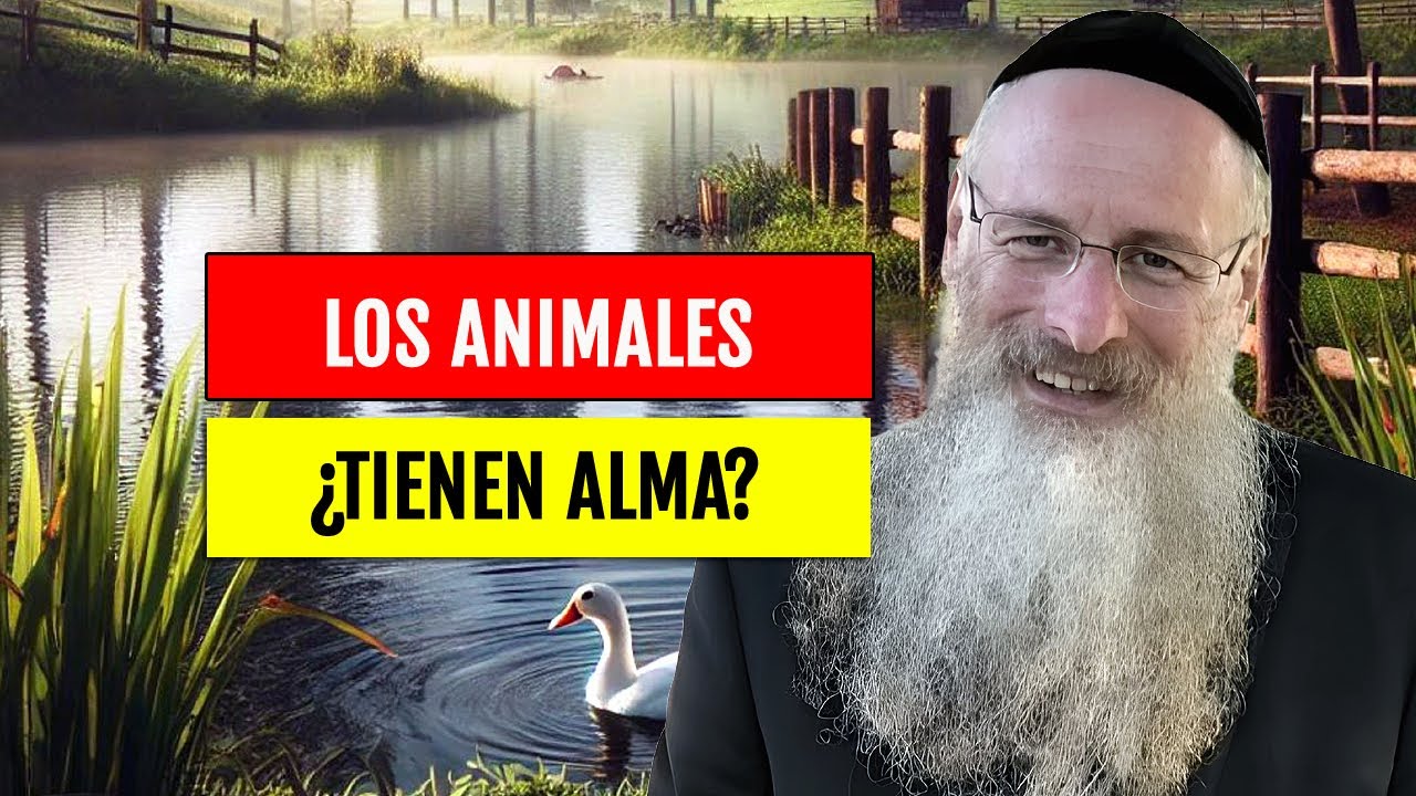 Los Animales ¿Tienen Alma? ¿O una fuerza espiritual?