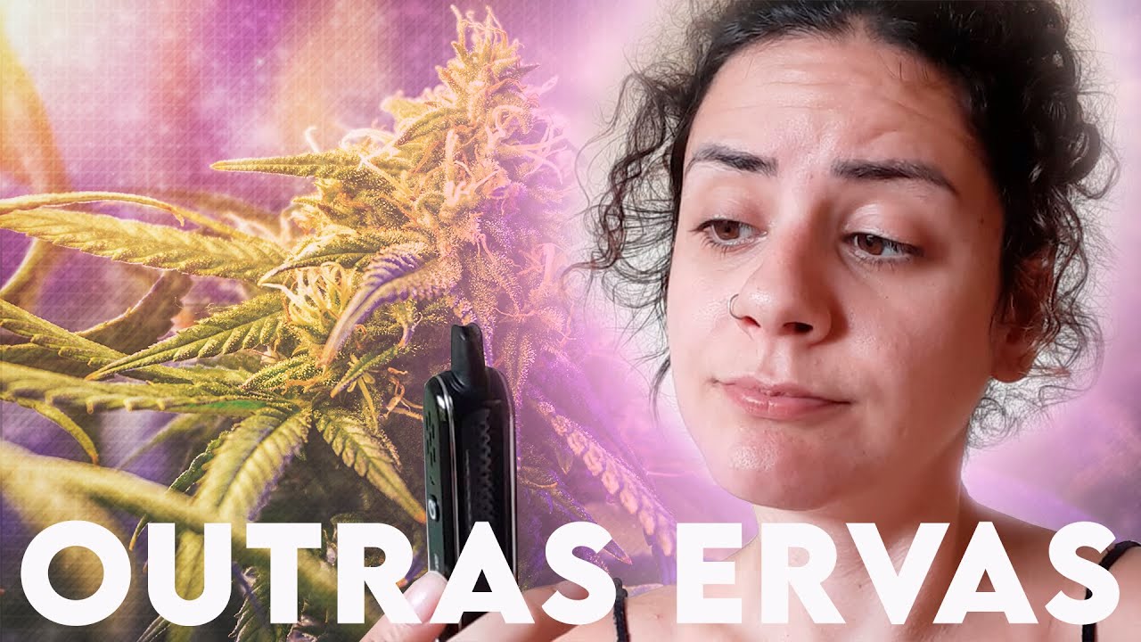ERVAS PARA FUMAR OU VAP0RIZAR AL&Eacute;M DA MACONH4