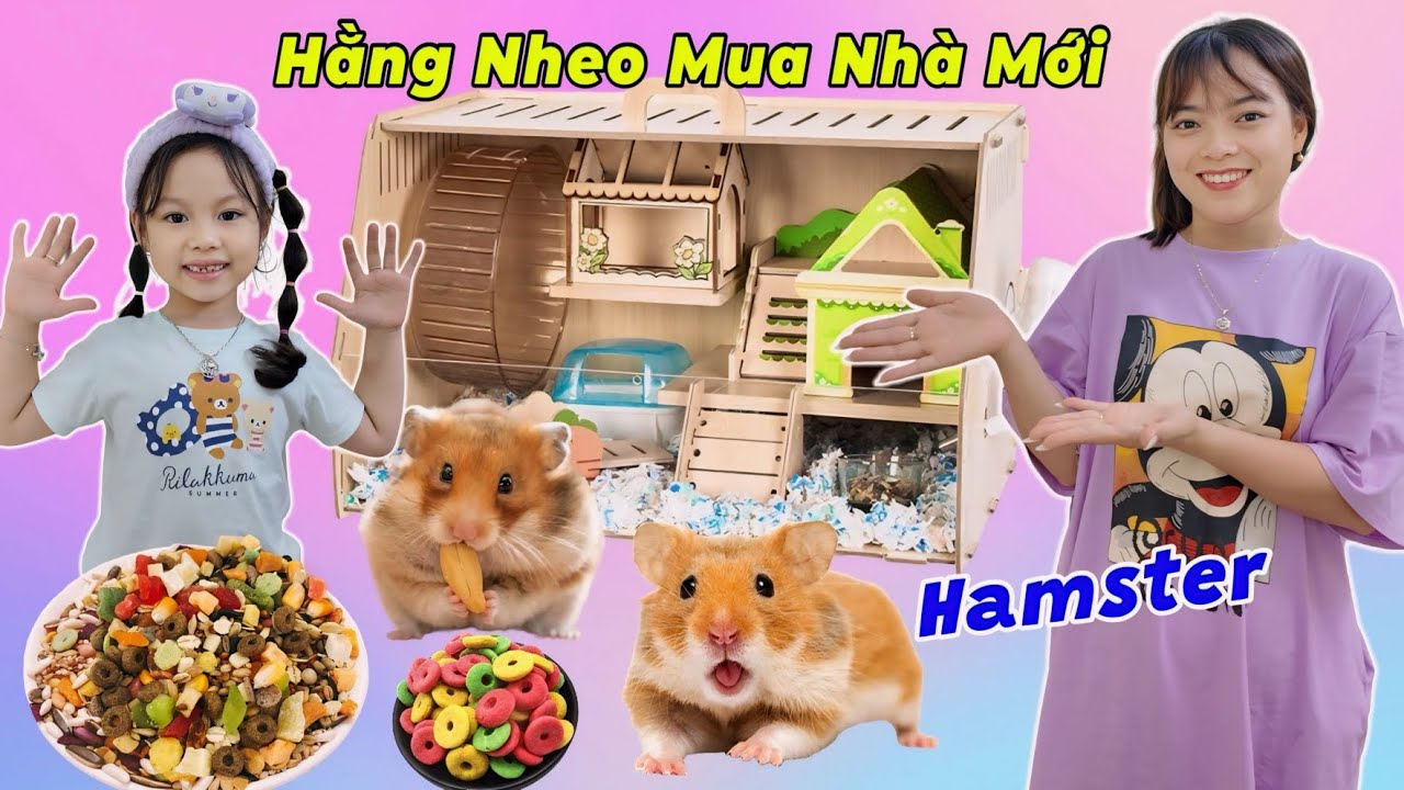 Chị Hằng Đi Mua Nhà Biệt Thự Cho Chuột Hamster