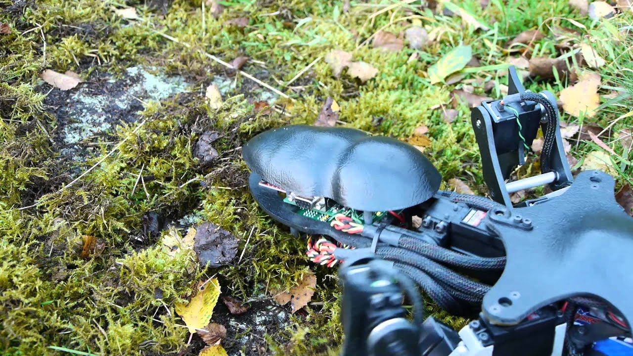 Apod, the working ant robot!
