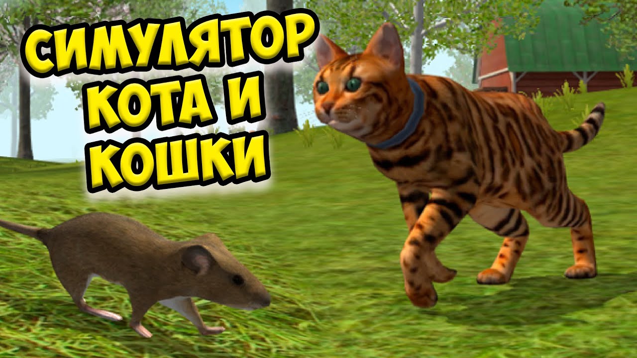 😻Симулятор КОТА и КОШКИ🐾 Босс енот в СИМЕ cat sim