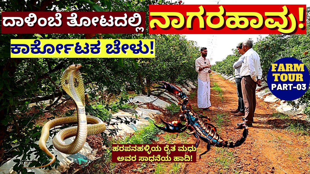 FARM TOUR-