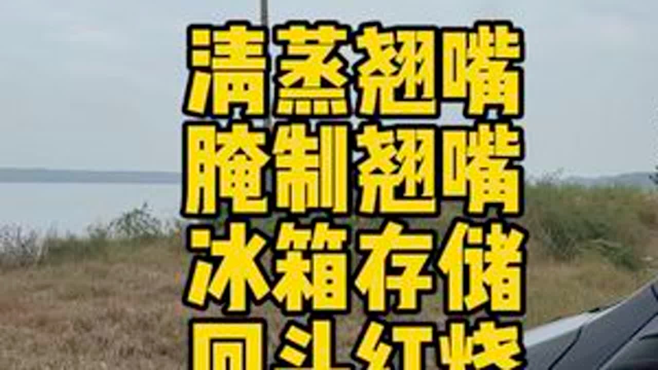沂河船钓，浪了一天，开杆大吉，清蒸翘嘴，腌制翘嘴，冷冻存储，回头红烧，坐了一天，老腰要断。哈哈哈，#vlog日常 #抖音美食创作者 #钓鱼的乐趣只有钓鱼人懂 #翘嘴做法