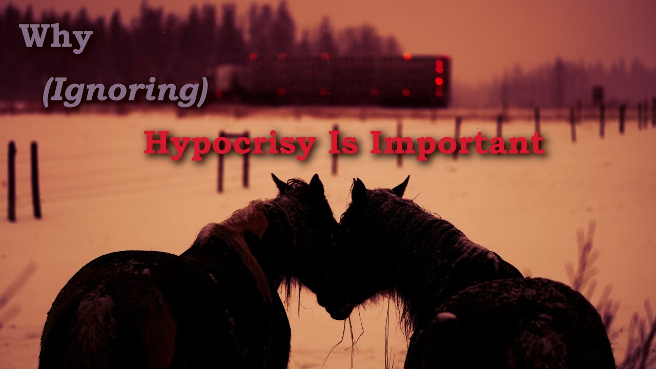 Why Ignoring Hypocrisy Is Important(June 21st, 2025)