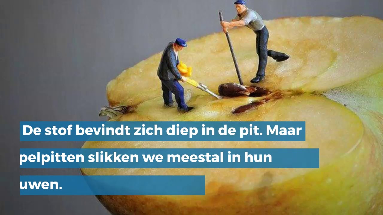 Kan je appelpitten mee opeten of niet?