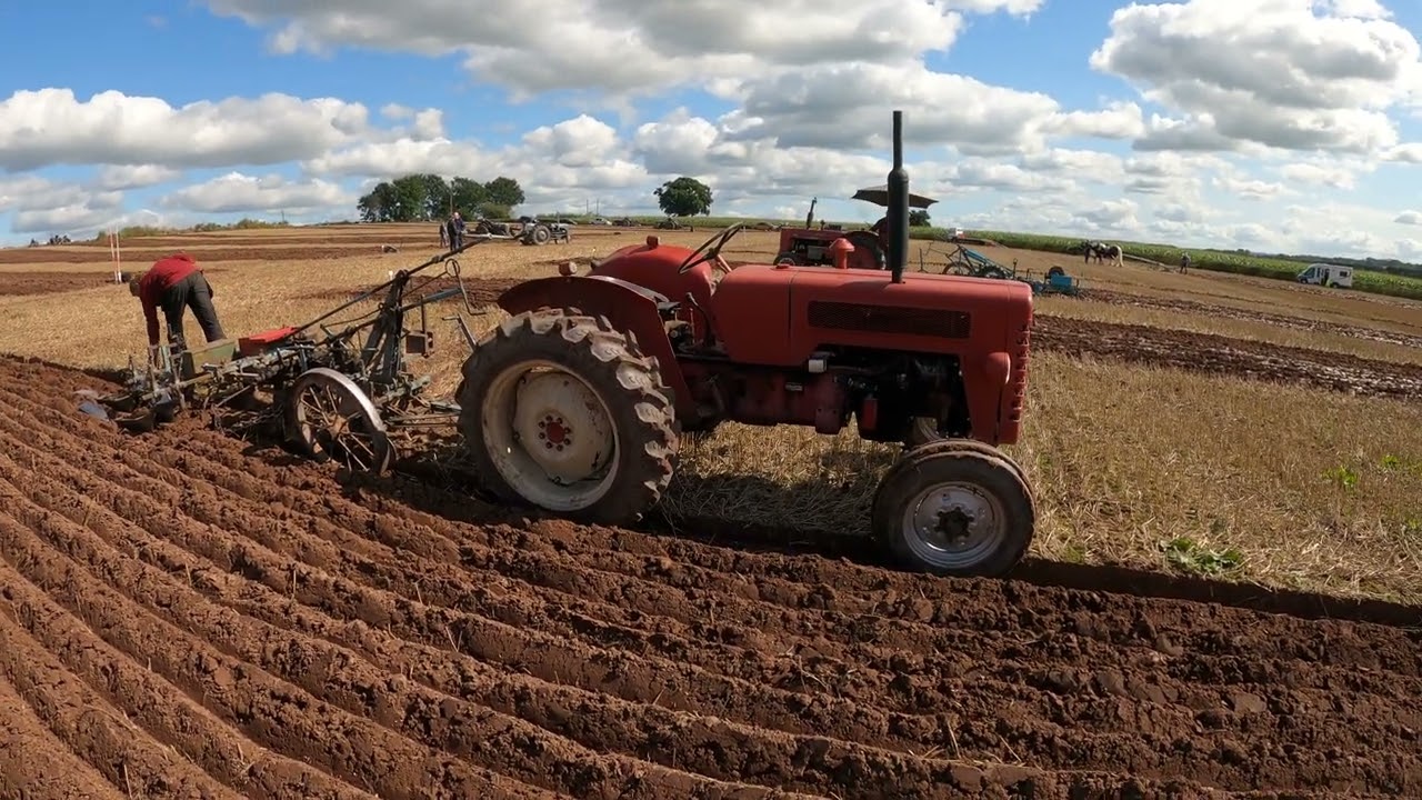 High Cut 1959 International Harvester B275 2.3 Litre 4-Cyl Diesel Tractor (38 HP) with Plough