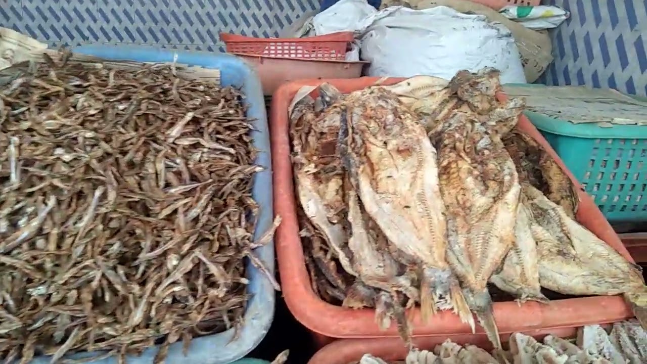 Vanakkam in Aluva.....🐟🐋🐬🐋🐟🐬