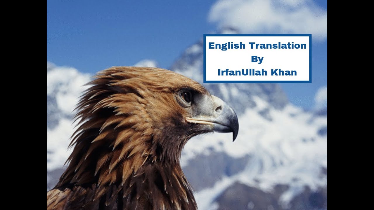 Motivational Iqbal's Urdu #Poetry (English Subtitles)