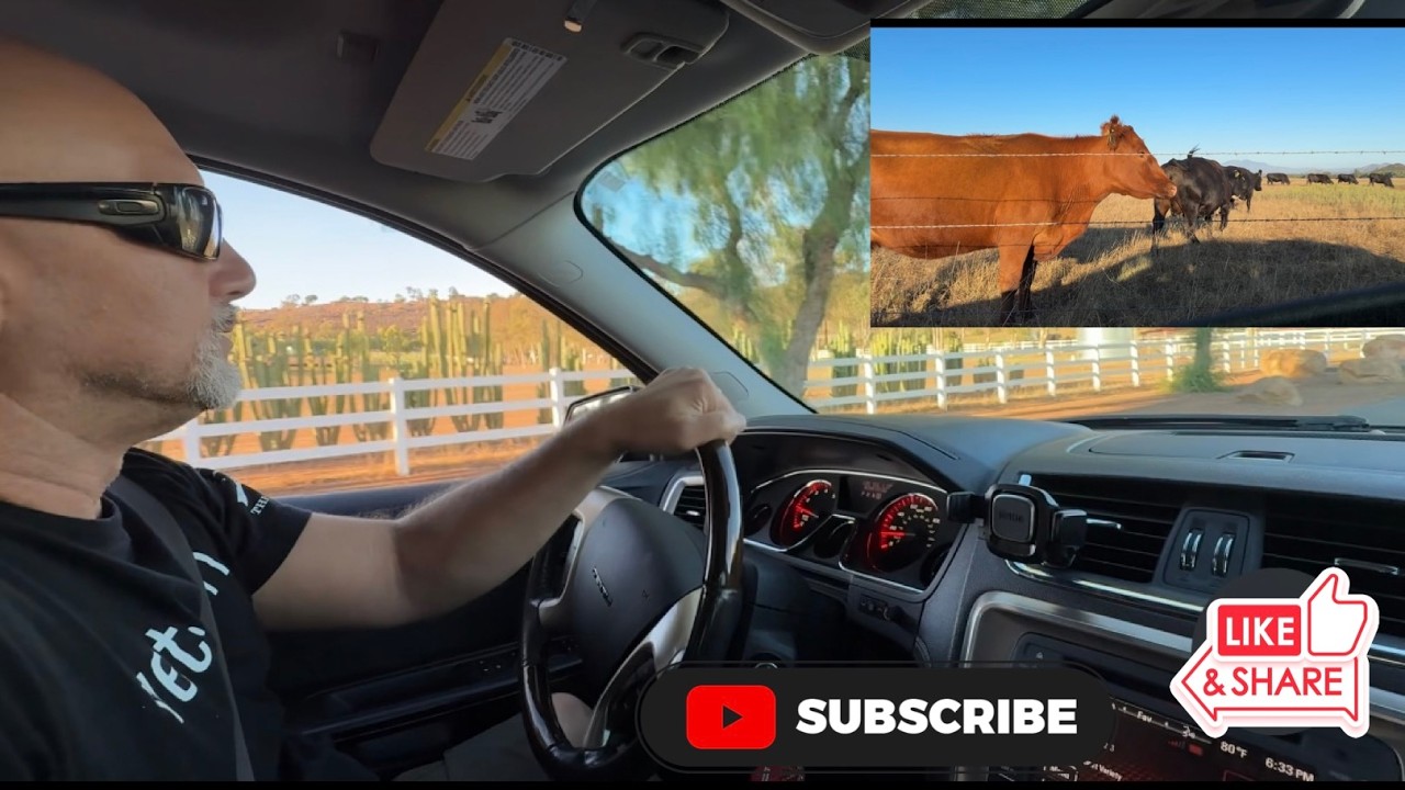 Осмотр прекрасных ферм в Рамоне и Поуэе