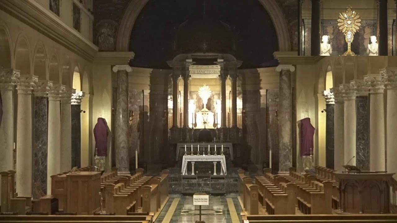 National Shrine of St. Maximilian Kolbe - Livestream
