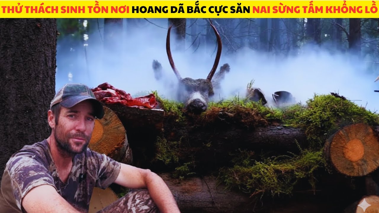 Thử Thách Sinh Tồn 100 Ngày Nơi Hoang Dã Bắc Cực Săn Nai Sừng Tấm Khổng Lồ Full Mùa