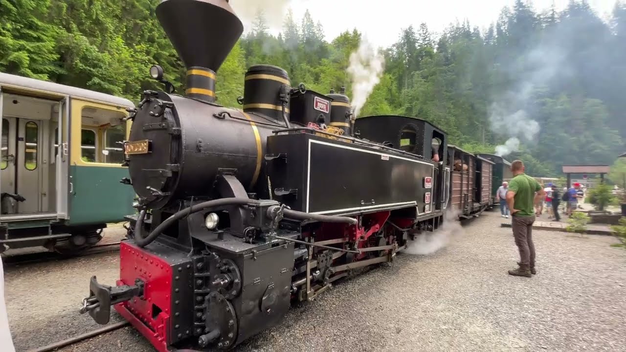 Vintage Locomotive 🚂// Mocănița Tourist Route