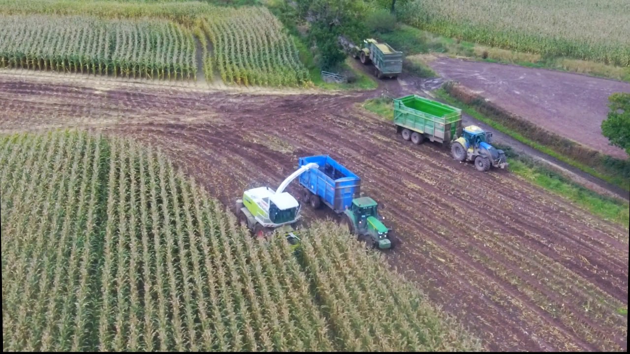 Wet Maize Harvest 2019