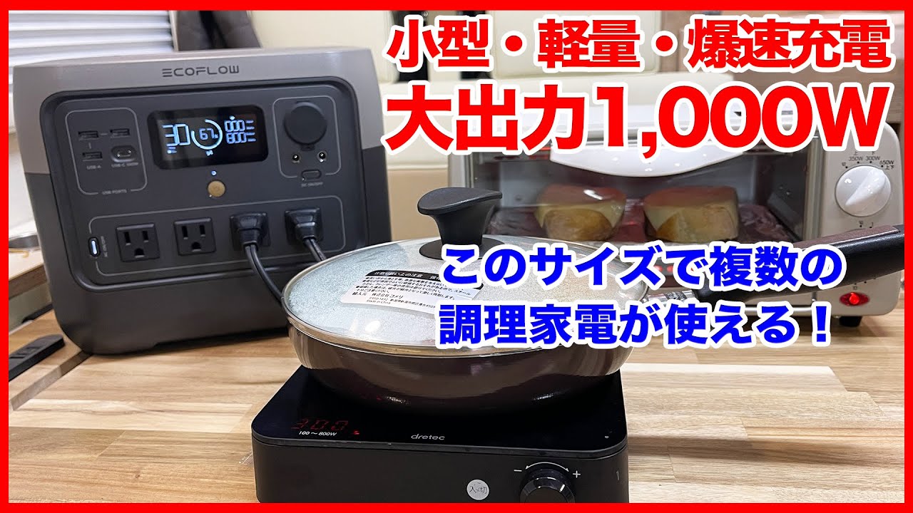 【最大40%off】小型・業界最強ポータブル電源！電子レンジが使えて車中泊・アウトドア・万一の災害に強く便利なEcoFlow RIVER2 Pro