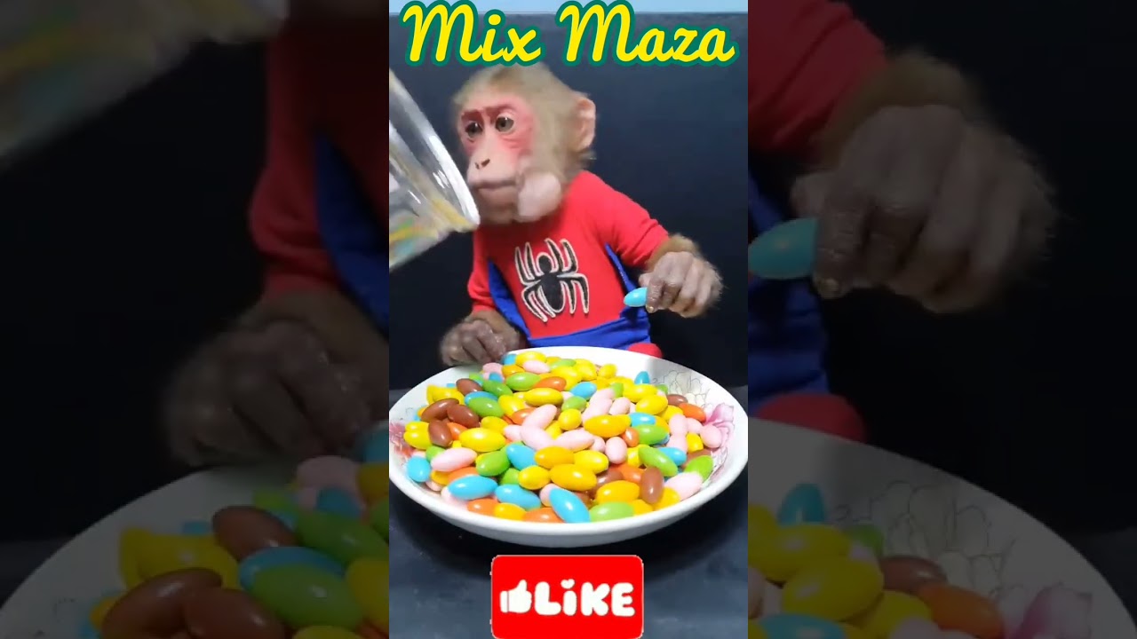 Mix Maza Funspecial001