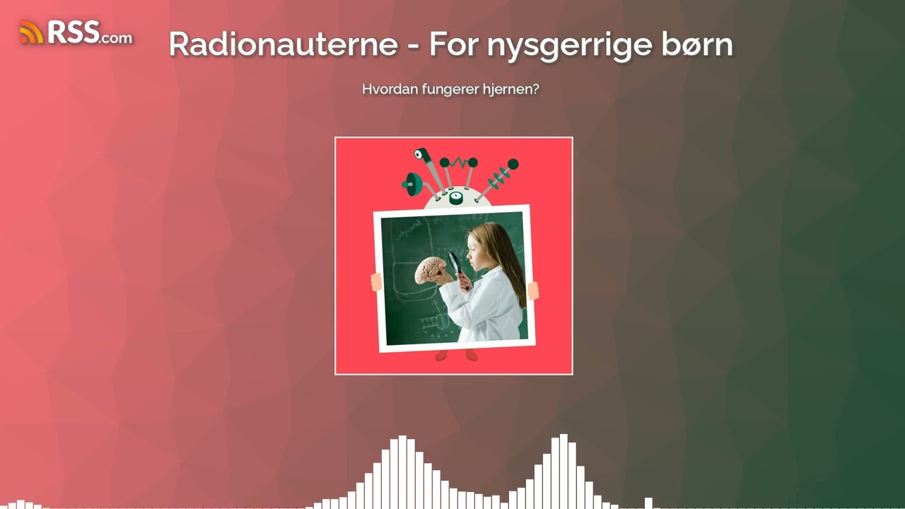 Hvordan fungerer hjernen?