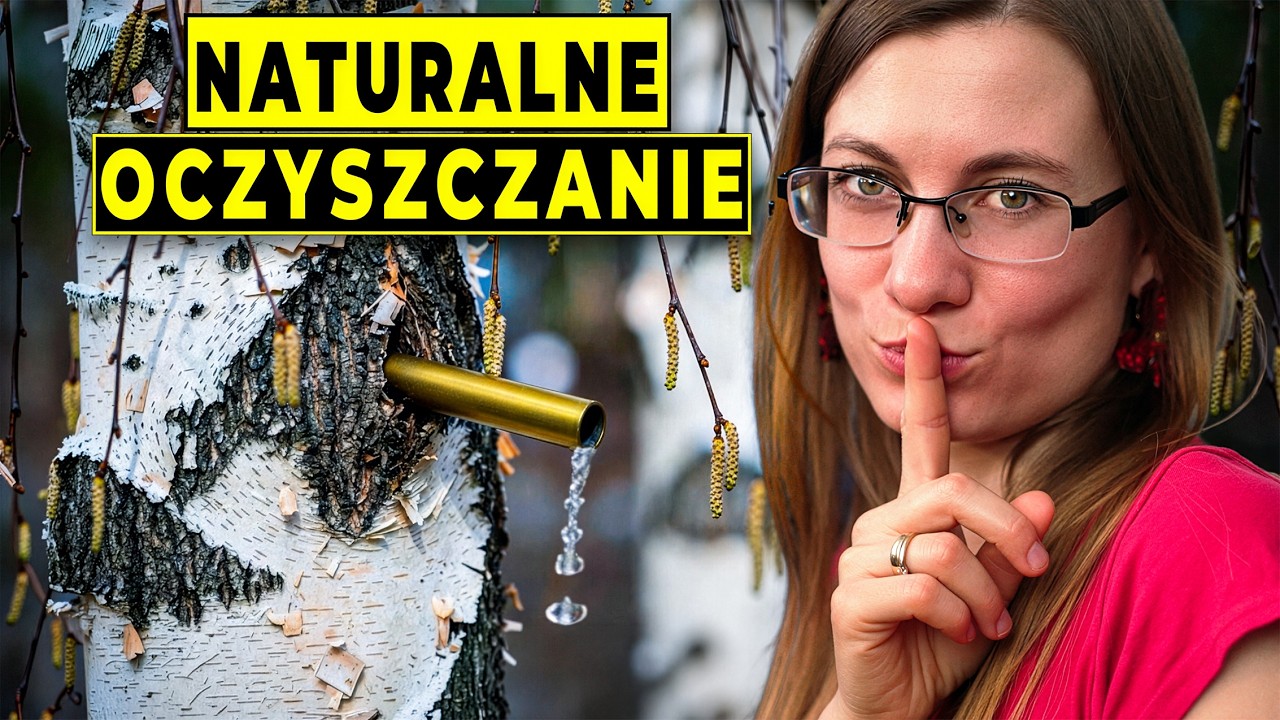 Drzewo Warte Fortunę. Poznaj Jego Zastosowanie!