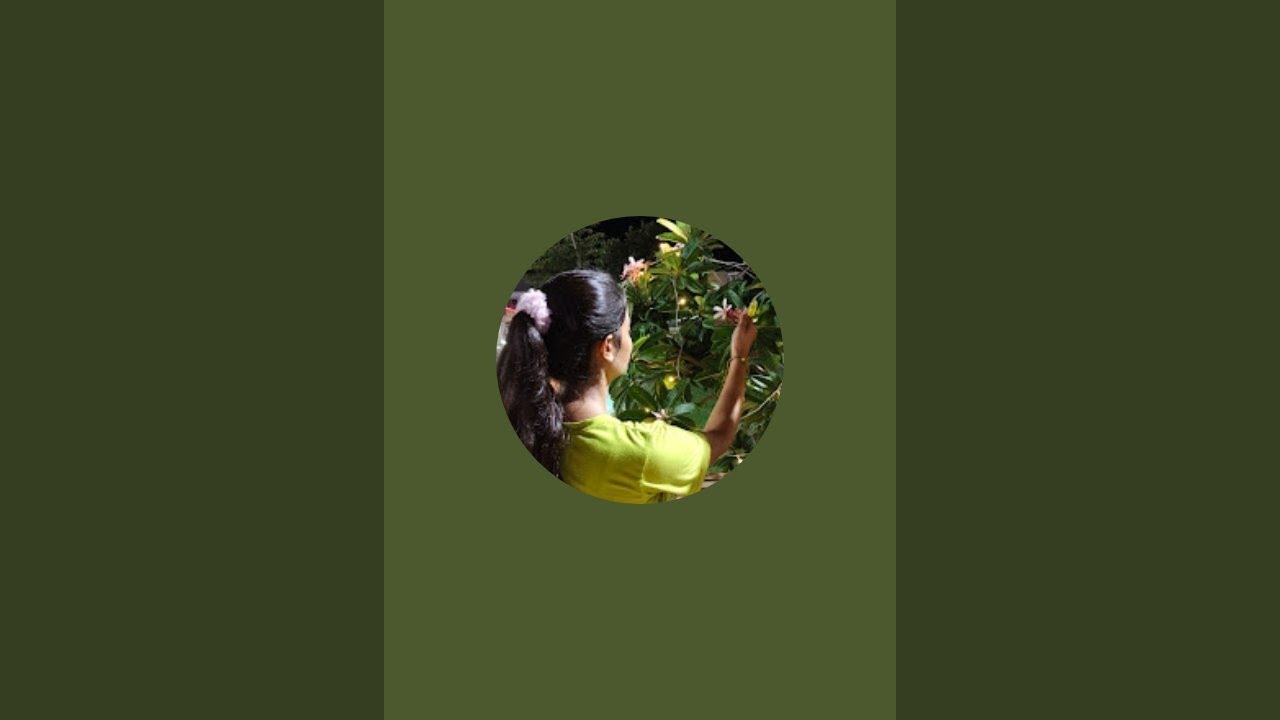 Tannu tanwar  is live