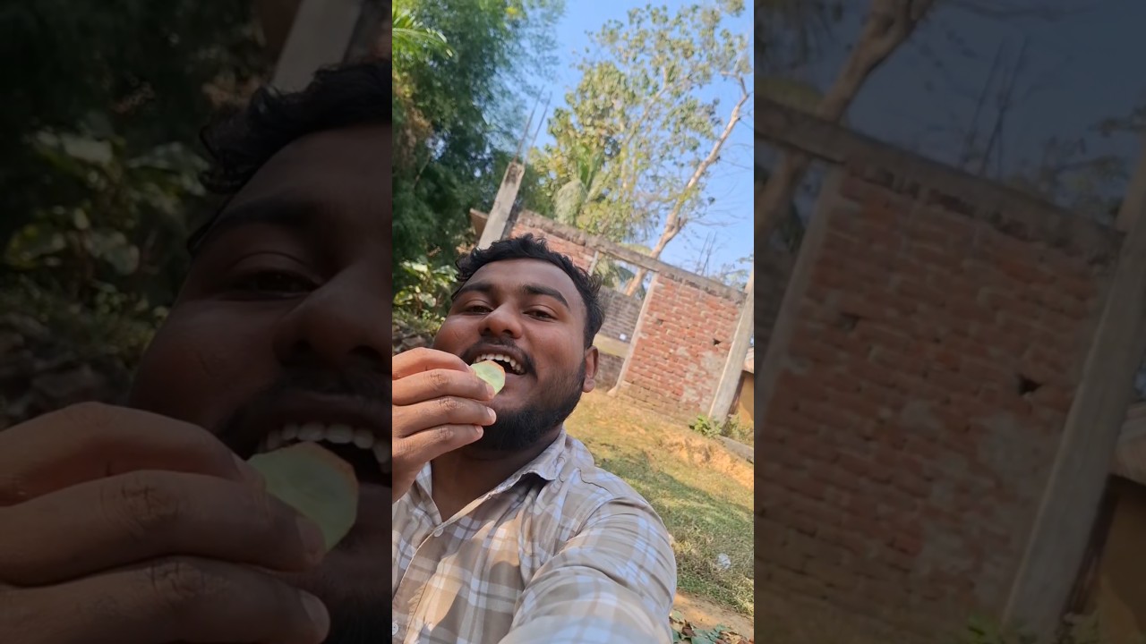 mini Vlog 
