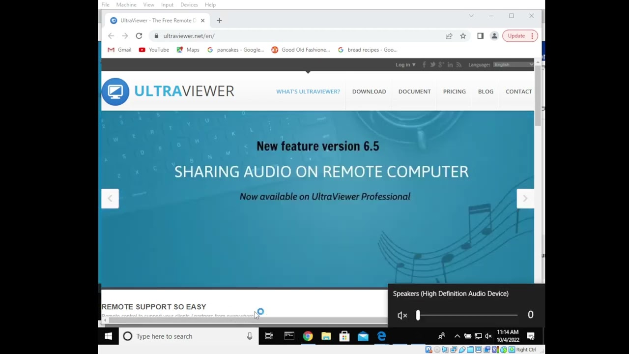 Tech Support Popup scam with funny abuse at the end
