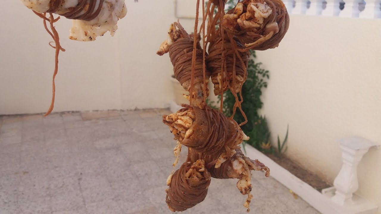 عصبان شايح