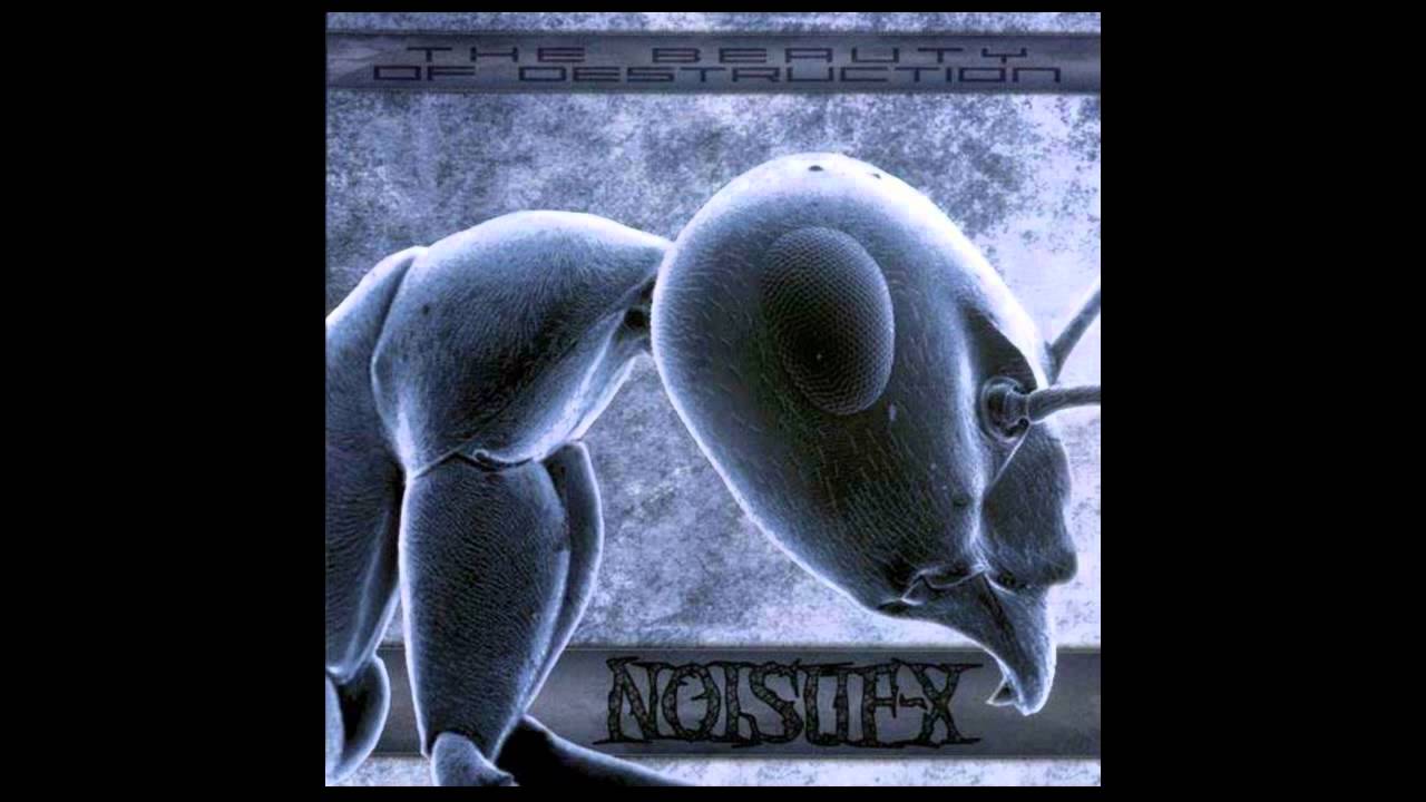 04 Noisuf-X Fine Line