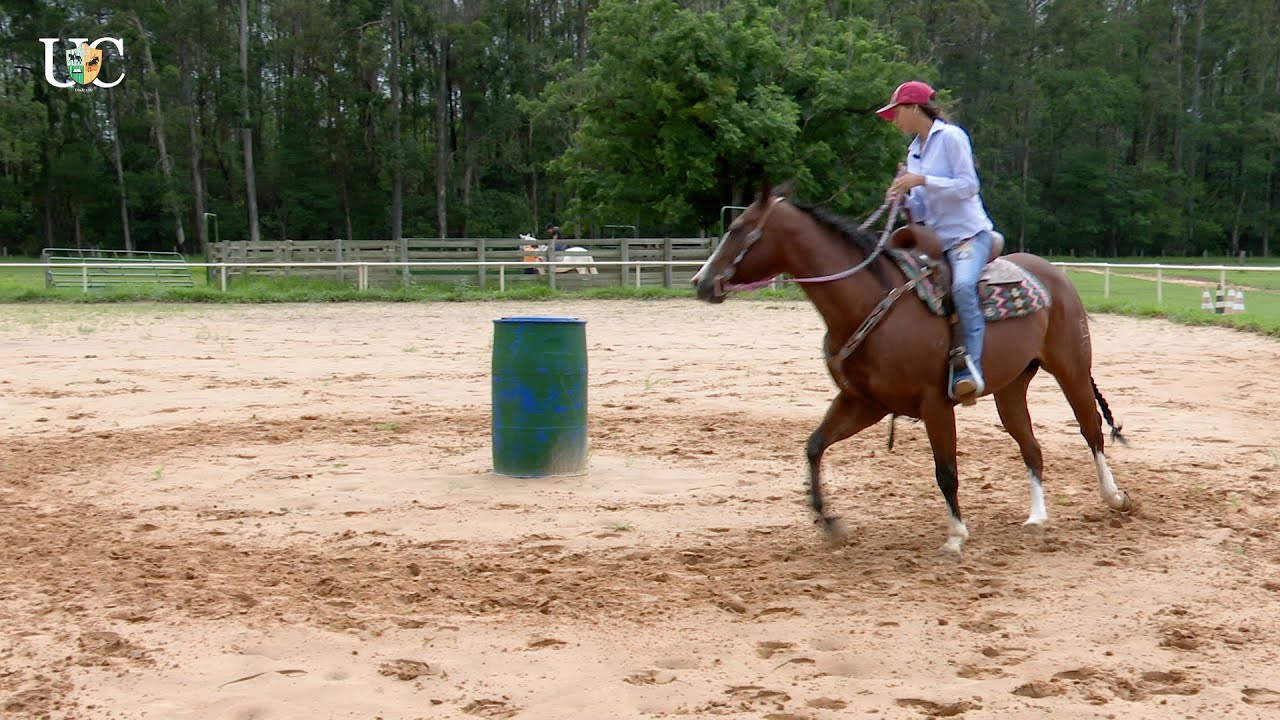 Exercício Funil para cavalo de tambor com Mari Marins