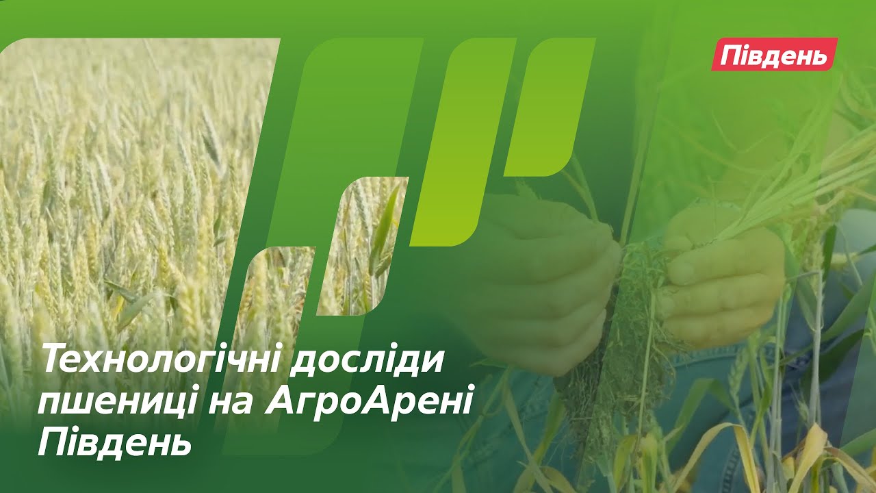 Технологічні досліди пшениці на АгроАрені Південь // Досвід. АгроАрена Південь