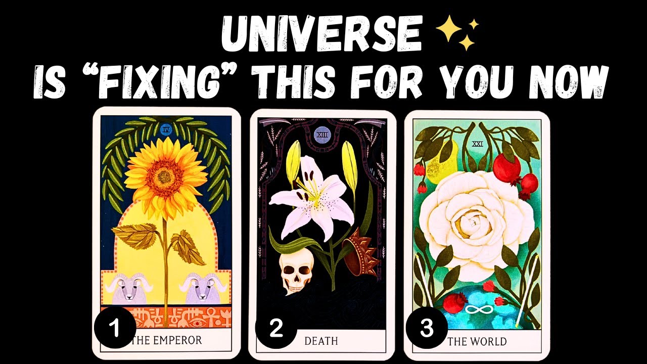 The ONE Thing Universe Is 
